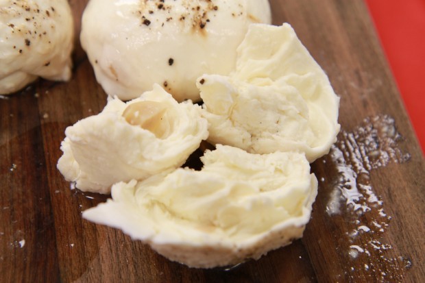 Mozzarella